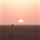 En kärlekssång till Robin, Frida och Ludwig