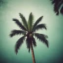 يا أم النخيل