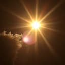 Estrela que Me Ilumina