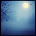 Can you feel it - one