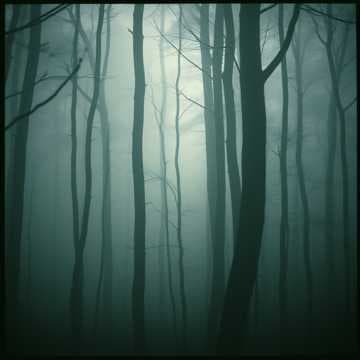 We Are the Whispers