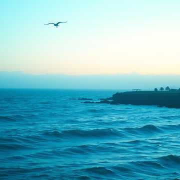 Dalmacija: Čajka i Svirke