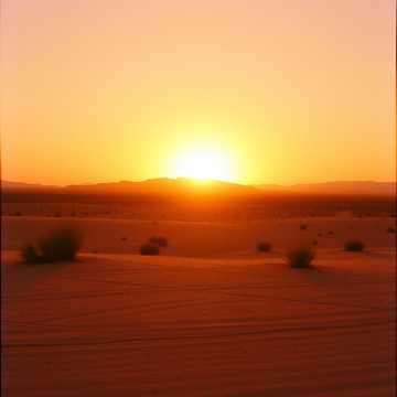 أعلى الجمال