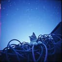 Just A Girl, No Help From Link