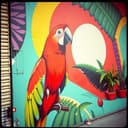 Baila Dentro del Fuego