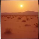 ياهلا بالشيخة