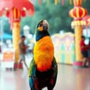 Paylinho da a bundinga porque o pintinho dele é pequeno