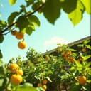 내일 또다시 시작해