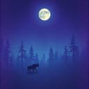 "Veltaur, Druid of the Celestial Wilds"