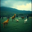 Fléchard, la Buse et la Plaie