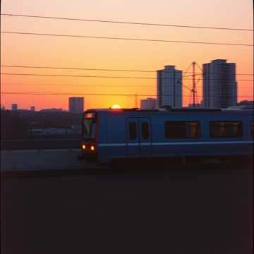 The Legend of Blue Line