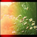 نجمة في سماء الحب