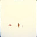 La vida es tan corta