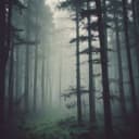 The End of the World