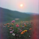 Sueña Lindo Corazon