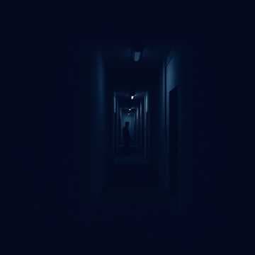 Shadow Steps