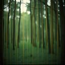 sonata for string quartet