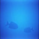 Good Night, Sweet Dreams (AI remake) 