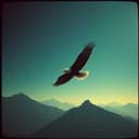 Rise Above the Clouds