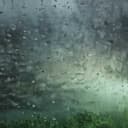 別為他淋雨