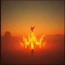 I'm Back, I'm Rising