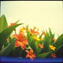 Бубонечка – Екатерина