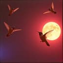 Esa Preciosa Mujer de Estelí