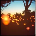 أُغْنِيَتِي لَكِ