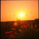 "Every Day with You"**  