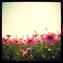 MK Sozusagen grundlos vergnügt