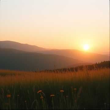 Finding My Better Path