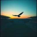 نادي سيلساو السعودي