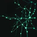 Canção: Indicações de Dano em Nervos Periféricos do Ombro