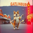 Gatlinburg Hussey Blues