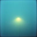 Форсимо любов