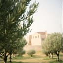 أرض فلسطين المقدسة