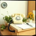 Ein Prosit für die Praxiswelt