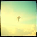 David, Ángel Divino