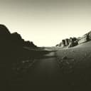 Кот,шедший четыре месяца домой