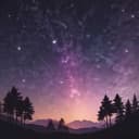 Slovenian Night Dreams