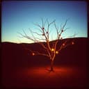 Home When the Door Opens