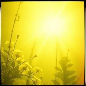 Eden Glory in my Heart