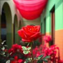 Larga Vida y Amor Eterno