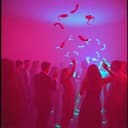 Infecções Sabidinhas