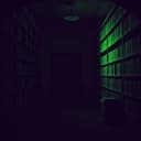 Tales from the Shadows