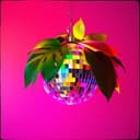 If you sexy and you know it