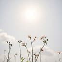 우리가족 사랑1