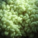 Tak mi Ciebie brak 2