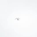 The team connect 80s