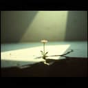 Info ROMен — війна 2025